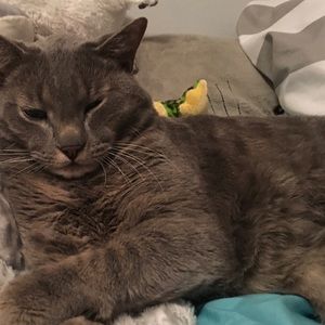 Meet your Posher, Brenna